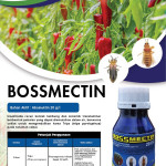 Bossmectin 20 EC